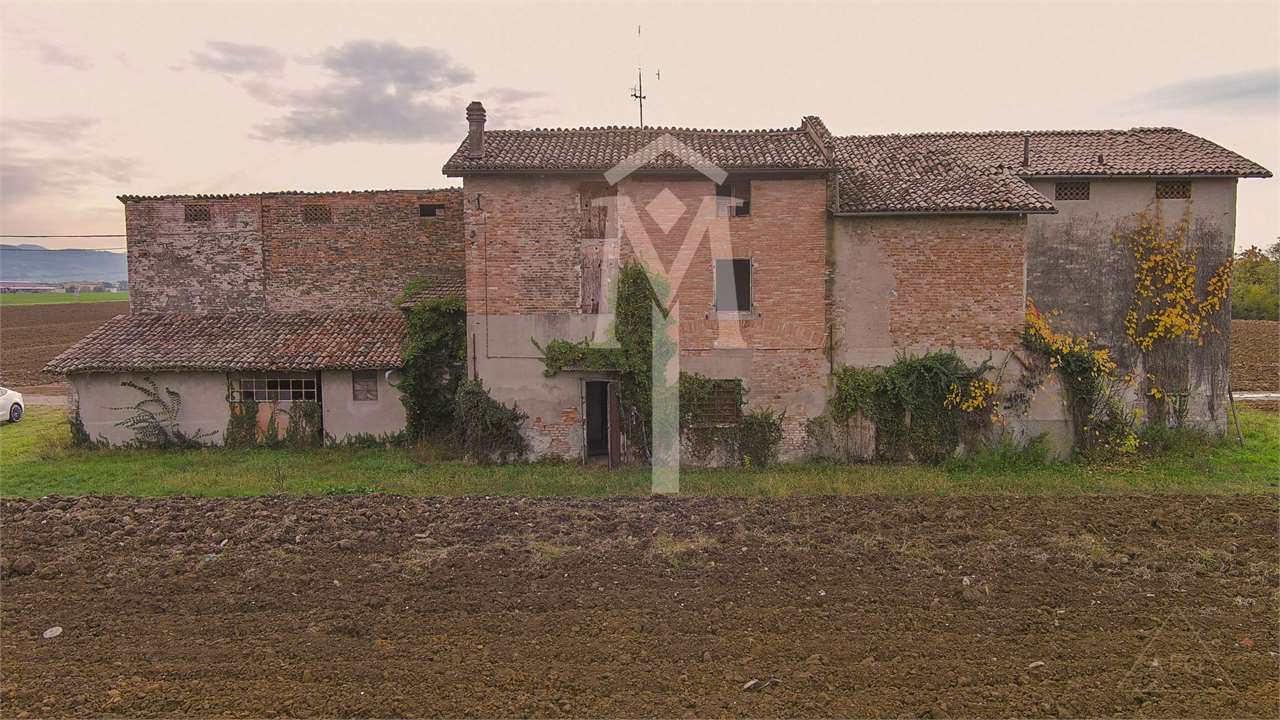 imm_19797-1280