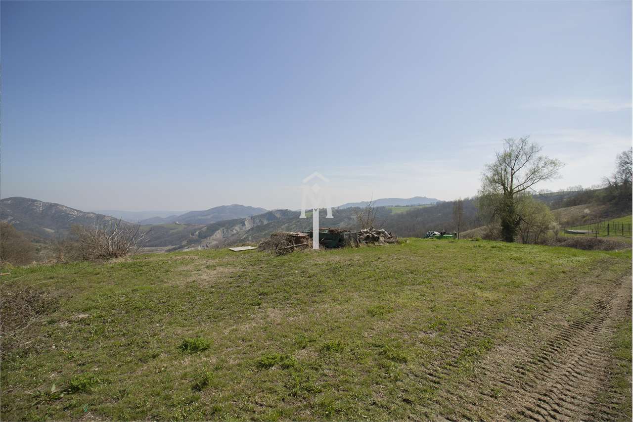 imm_28938-20230407111849-1280