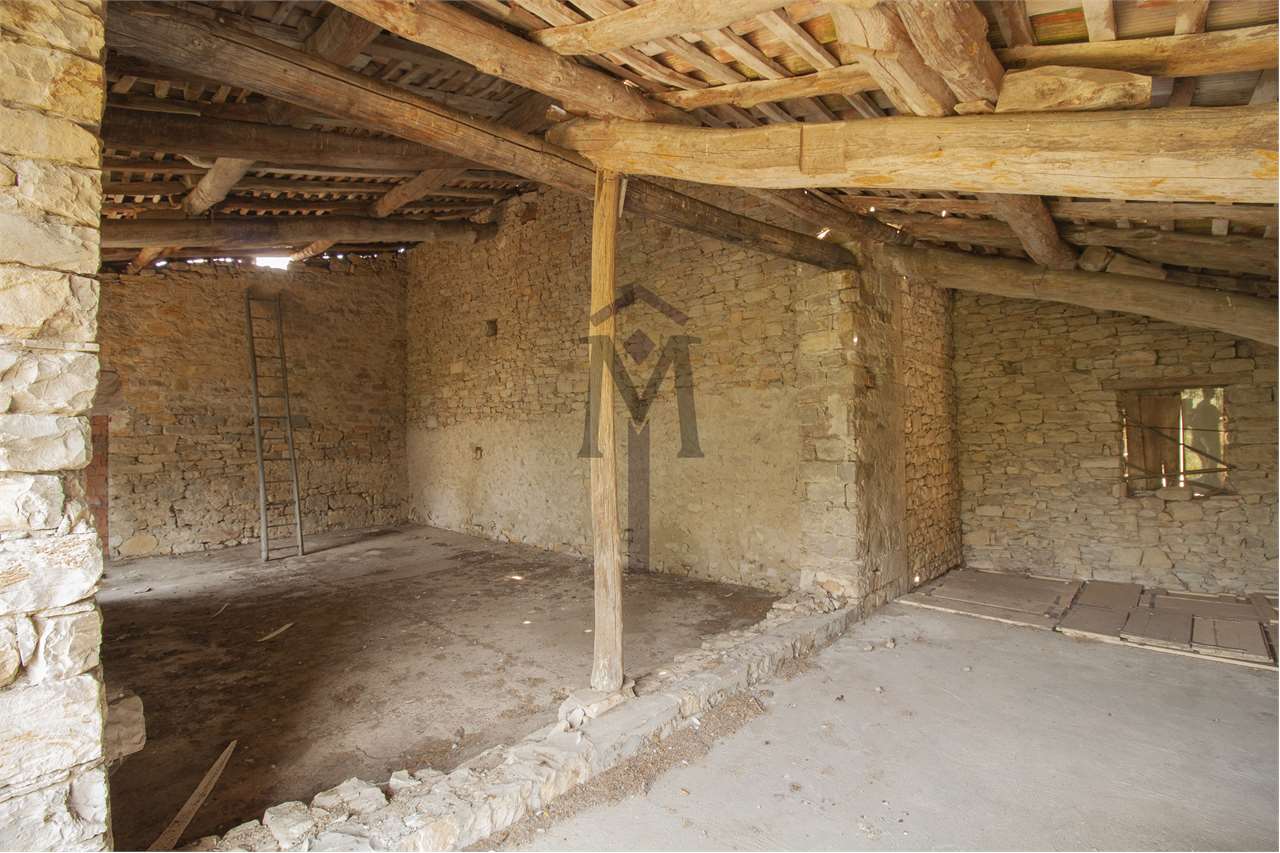 imm_37213-20240829161558-1280