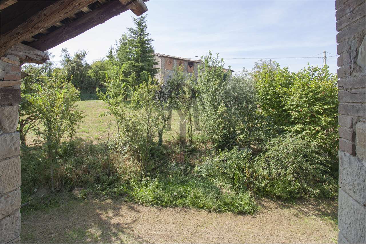 imm_37220-20240829161529-1280