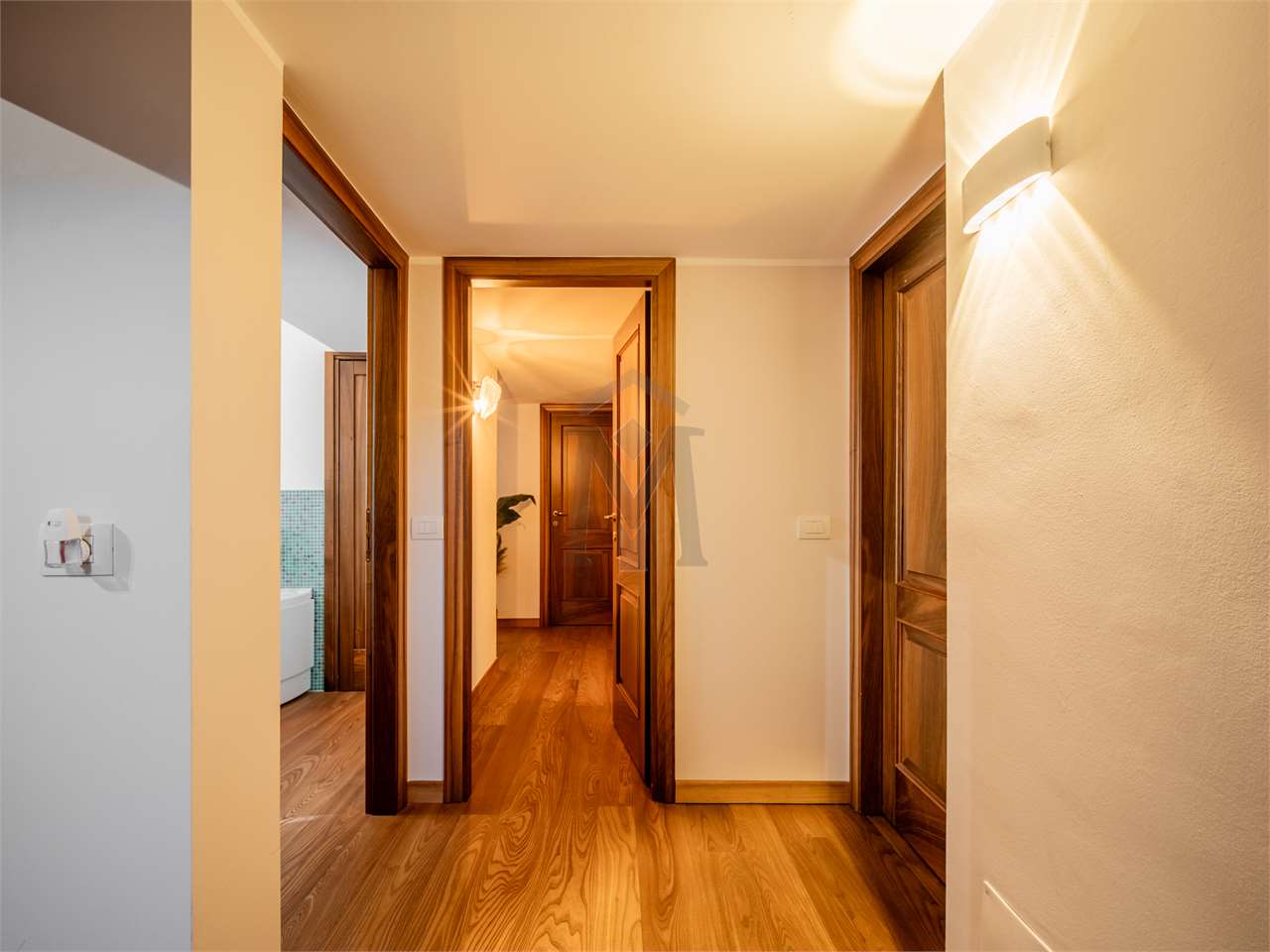 imm_41439-20250414120336-1280