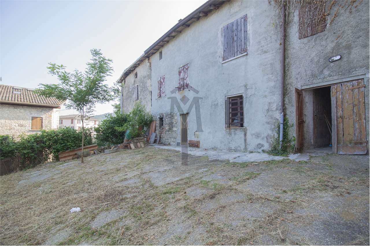 imm_43606-20250623170500-1280
