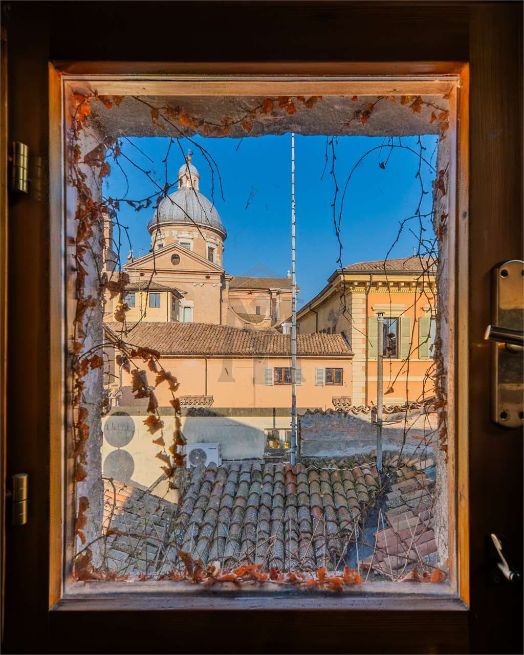 imm_47431-20251219151645--1280