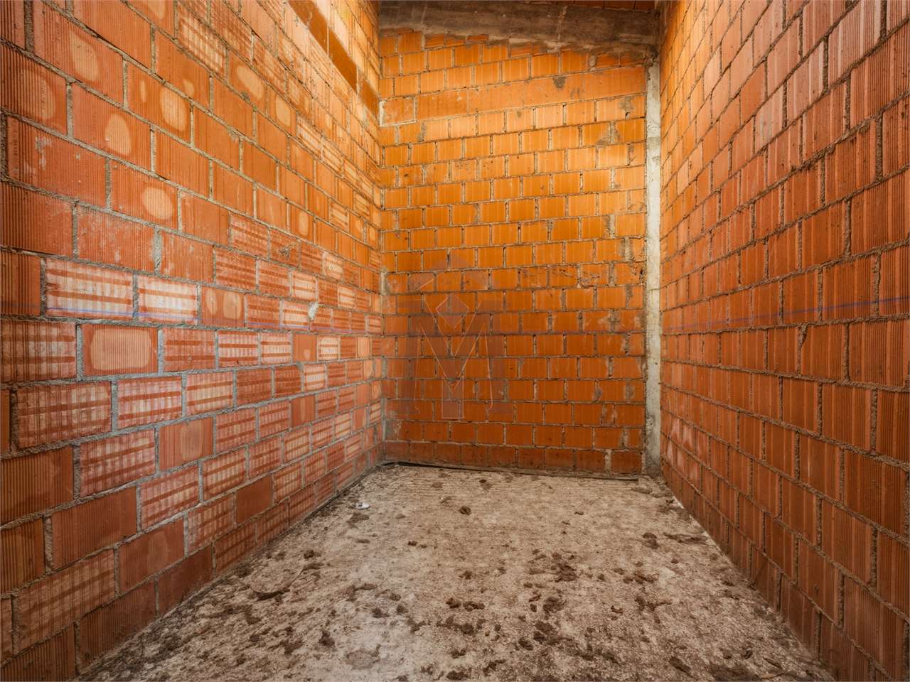 imm_48254-20260226113514-1280