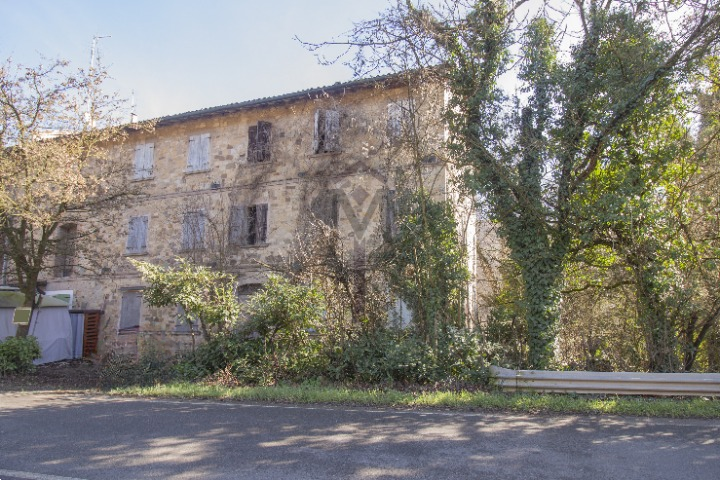 imm_48667-20260320184646-720