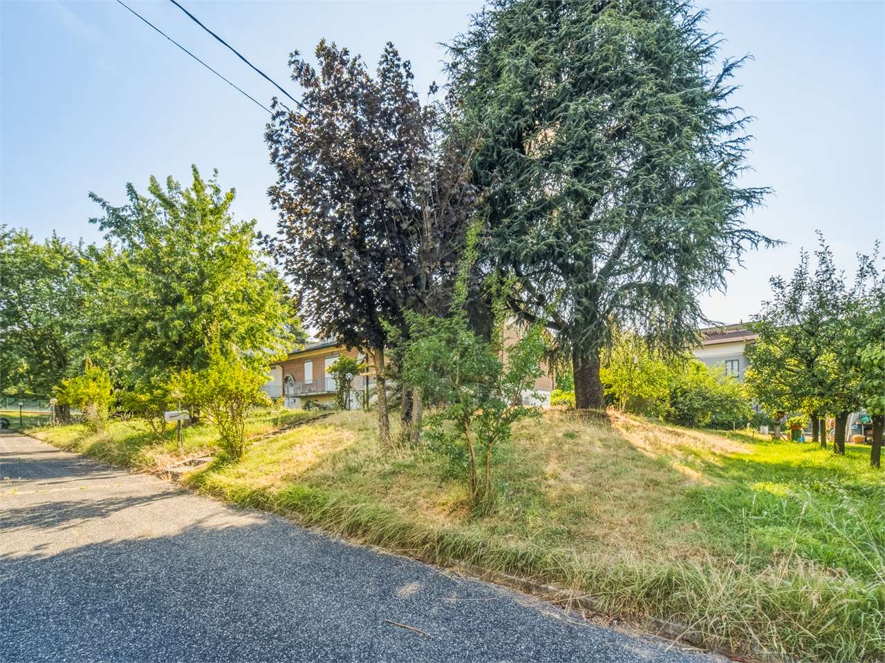imm_50040-20260630190312-1280