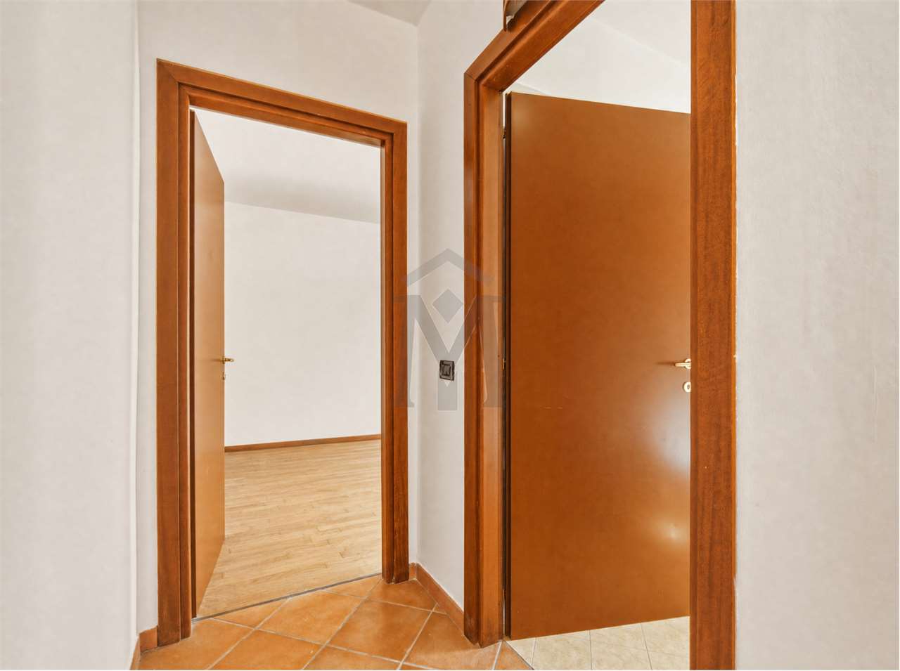 imm_50934-20260803173916-1280