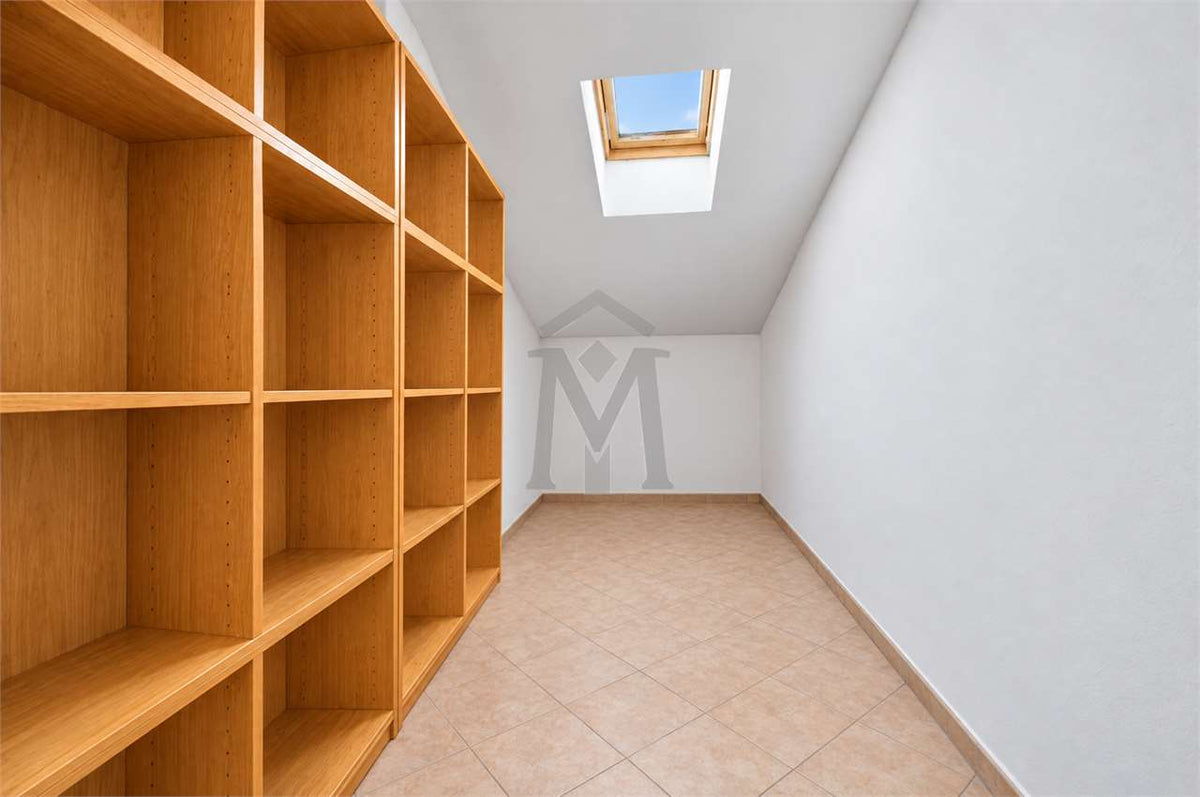 imm_53066-20261014111716-1280