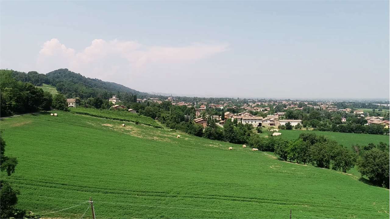 imm_6055-1280