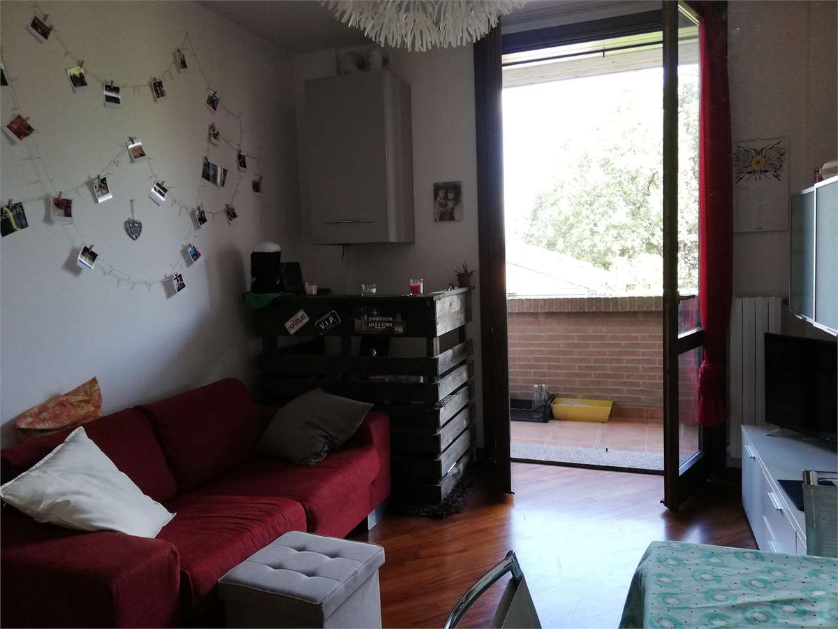 imm_10838-1280