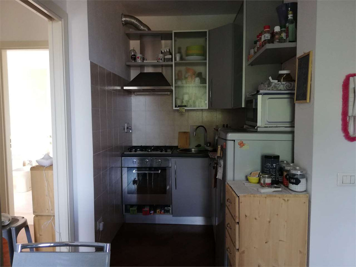 imm_10844-1280