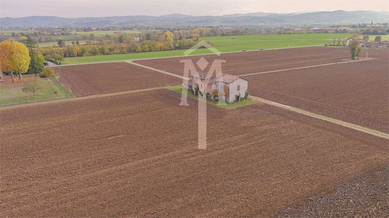 imm_19780-1280