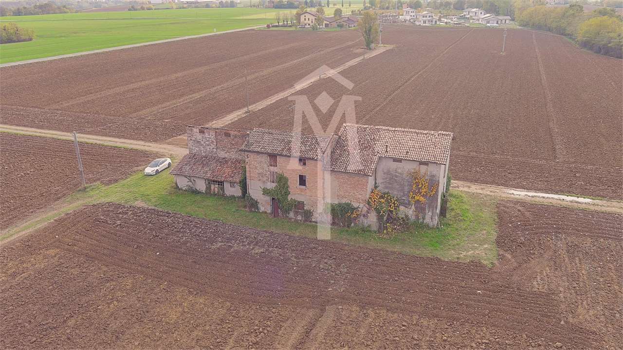 imm_19785-1280