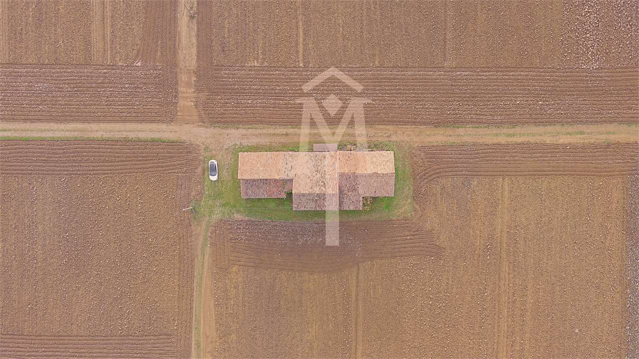 imm_19792-1280
