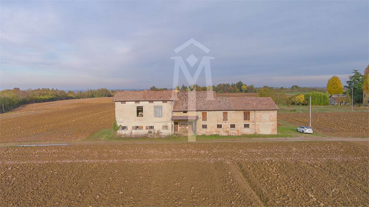 imm_19795-1280