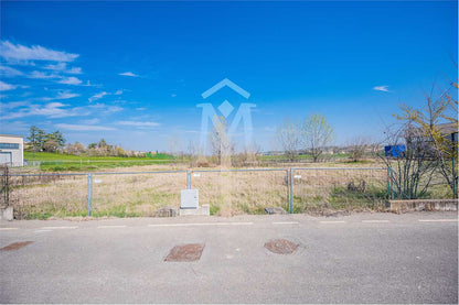 imm_21856-20220404115507-1280