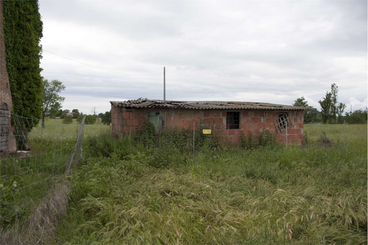 imm_27819-20230125171339-1280