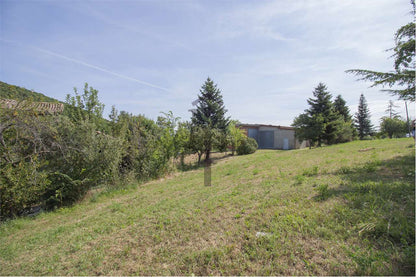 imm_37210-20240904121325-1280