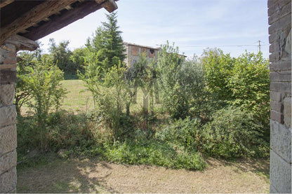 imm_37220-20240829161529-1280
