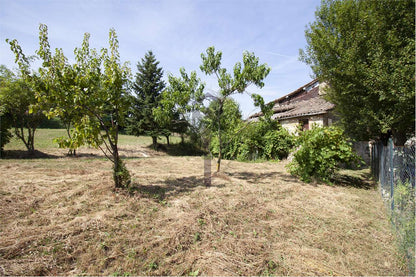 imm_37224-20240829161420-1280