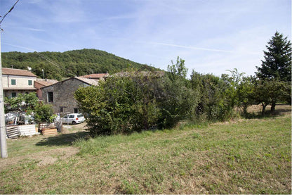 imm_37228-20240904121349-1280