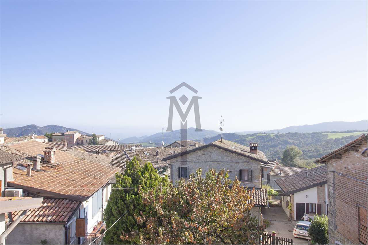 imm_38614-20241030172408-1280