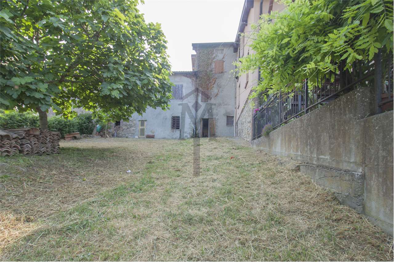 imm_43607-20250623170502-1280