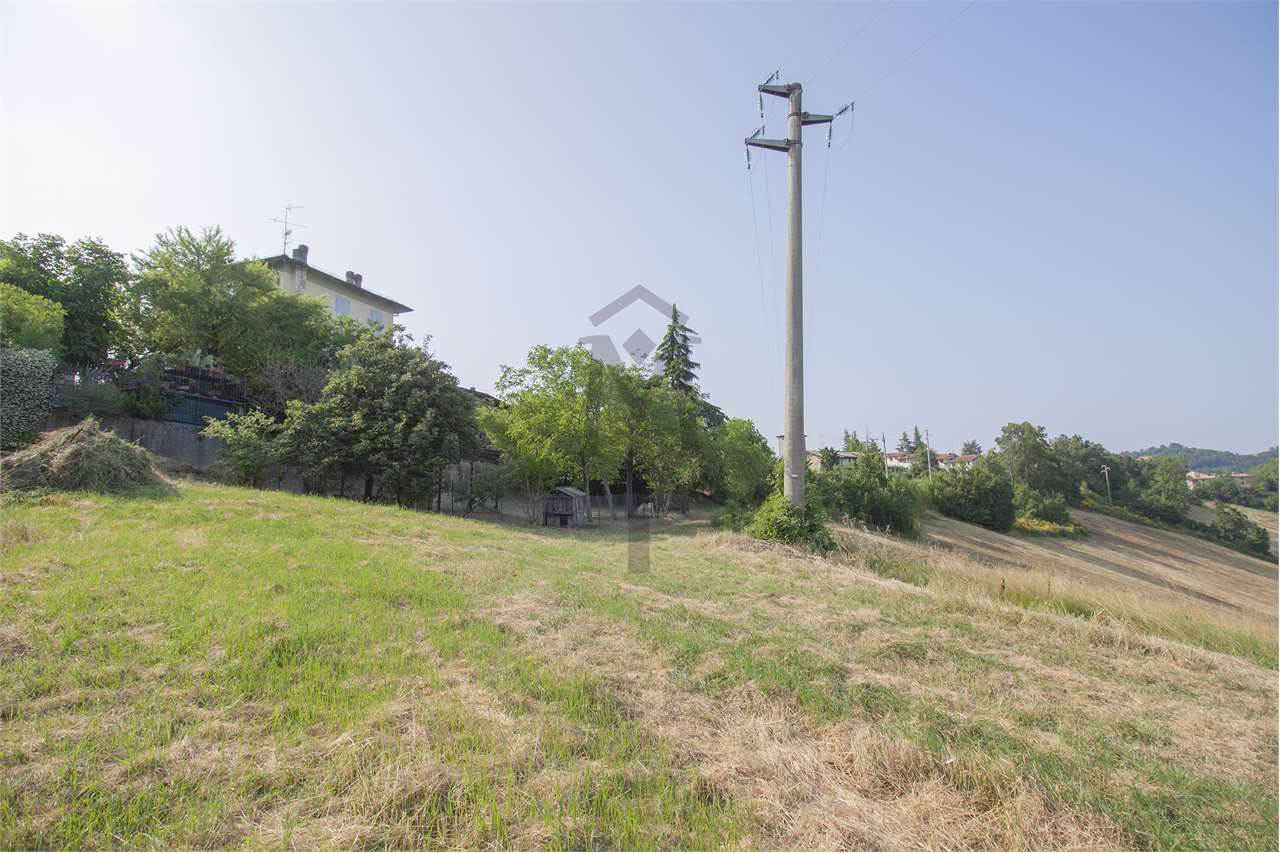 imm_43609-20250623170534-1280