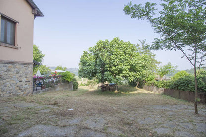 imm_43612-20250623170513-1280