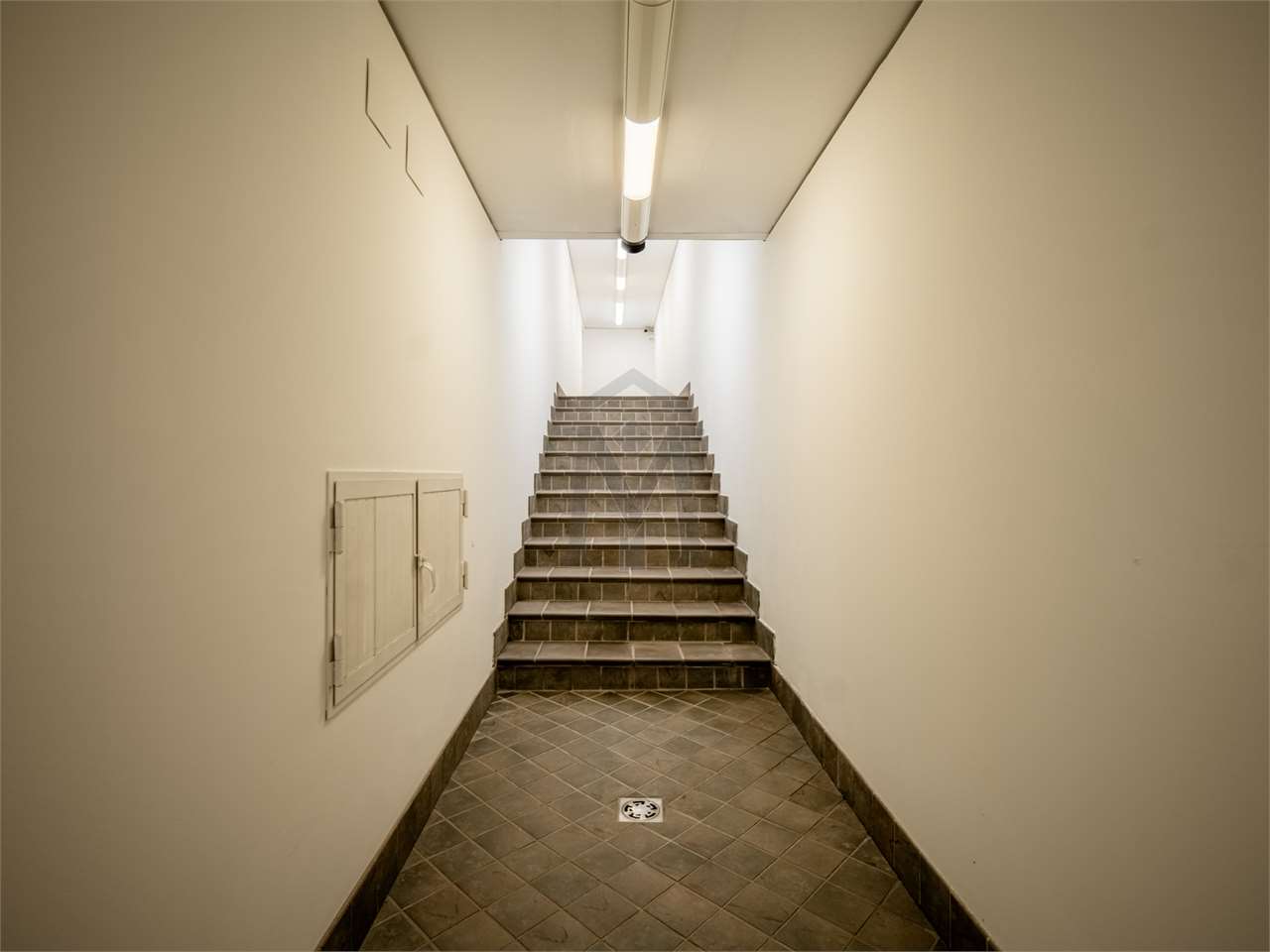 imm_45616-20251009111322-1280