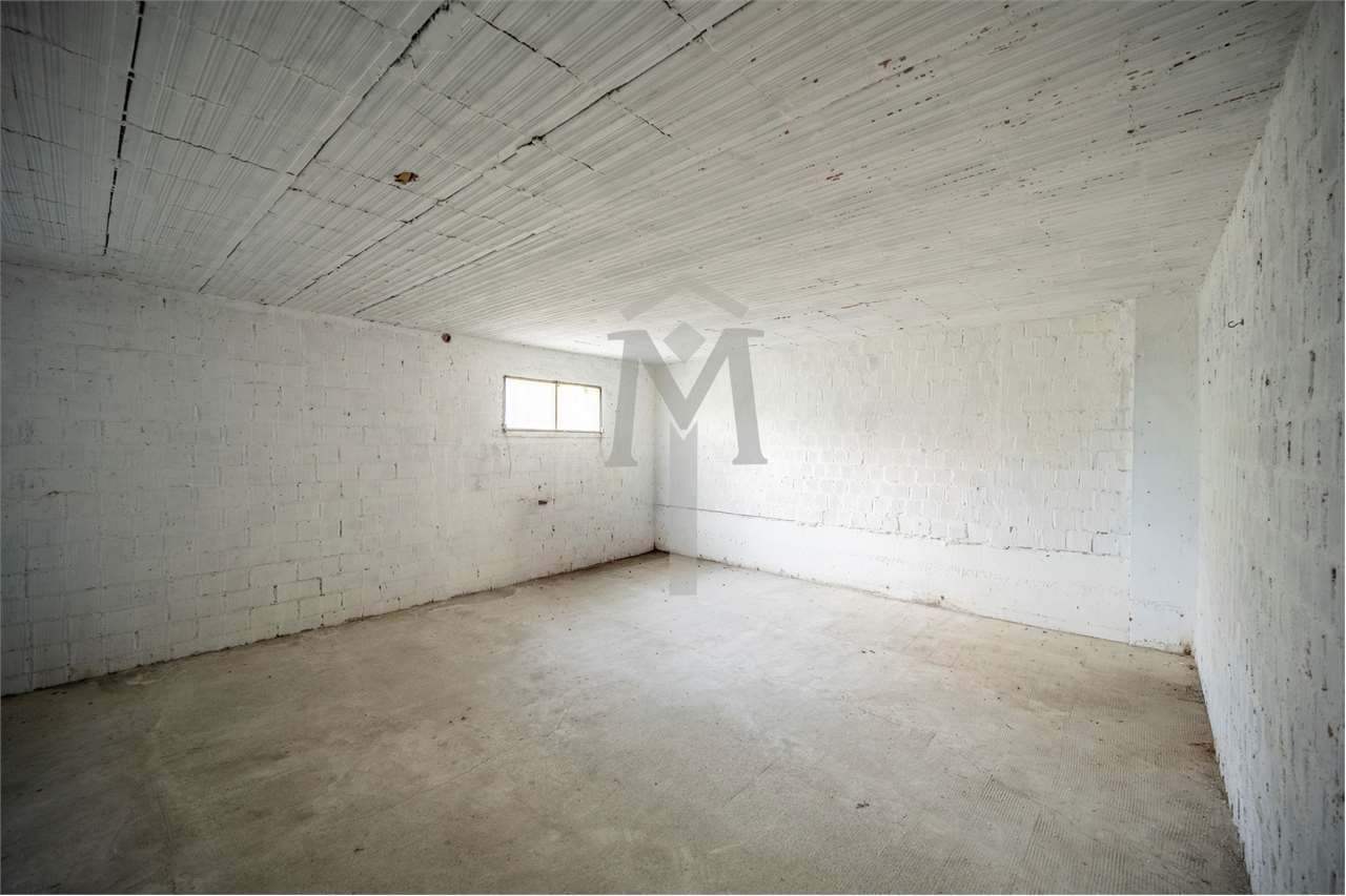 imm_45988-20251024102315-1280