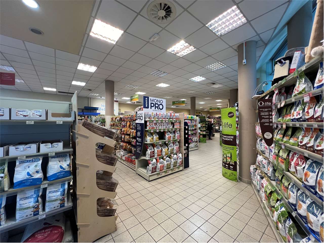 imm_46043-20251023111802-1280