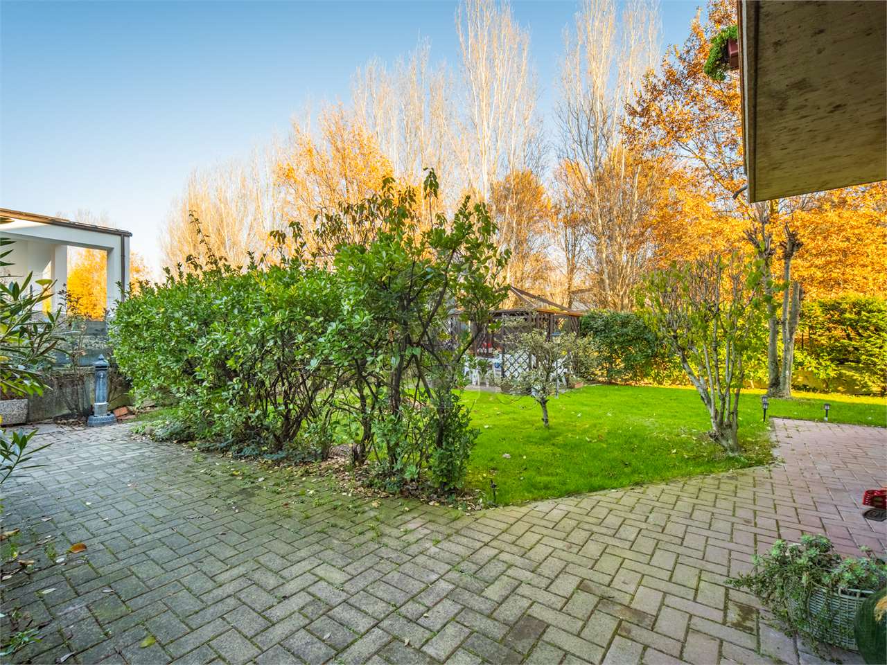imm_46976-20251202185013-1280
