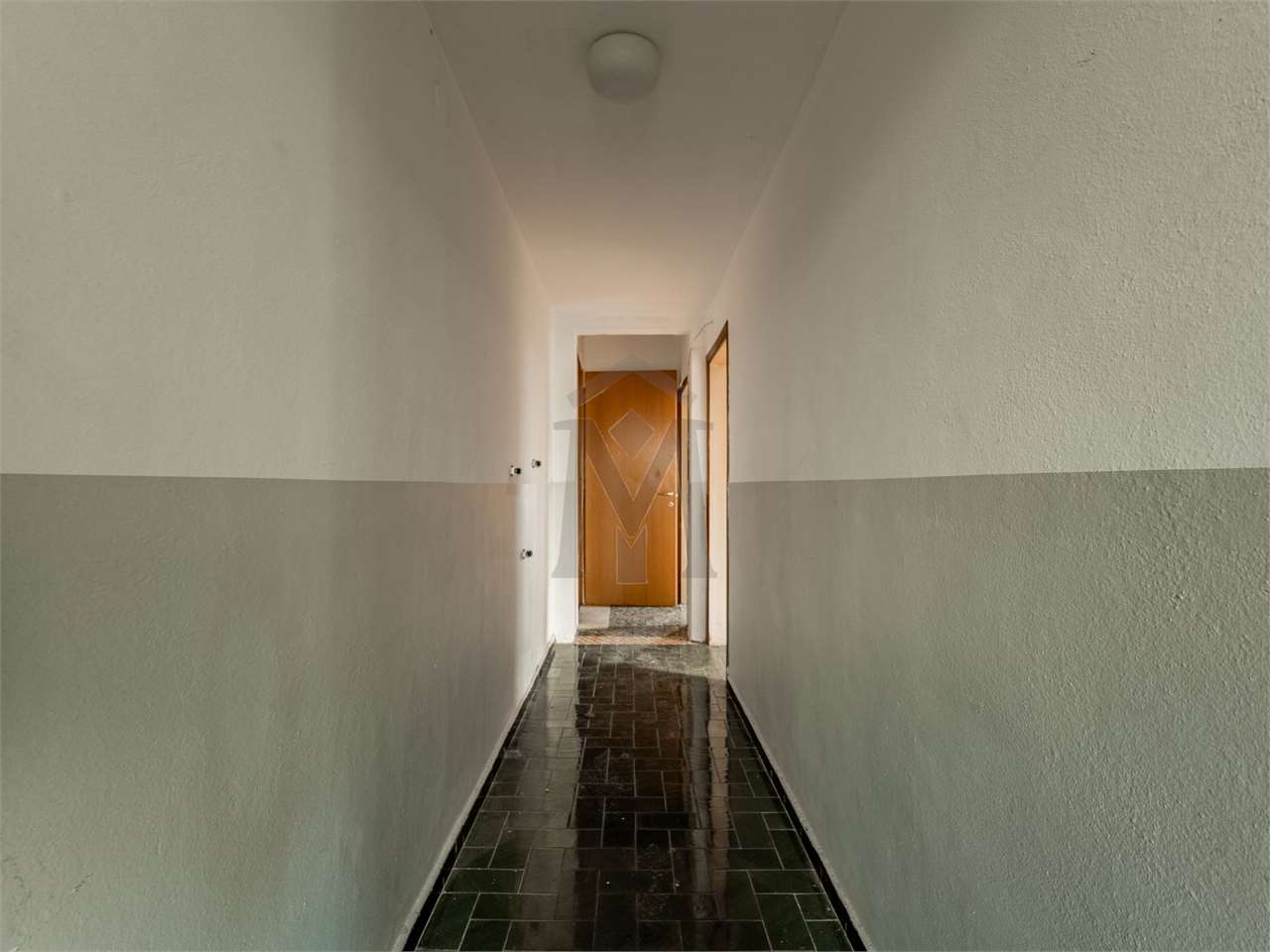 imm_47594-20260127092747-1280