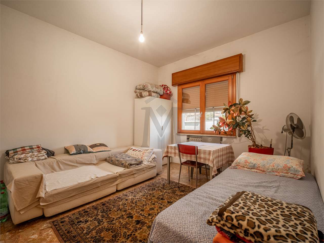 imm_48730-20260327111318-1280