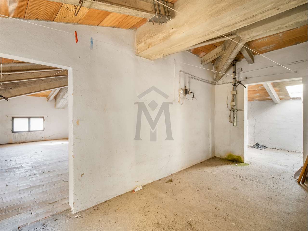 imm_49205-20260504093411-1280
