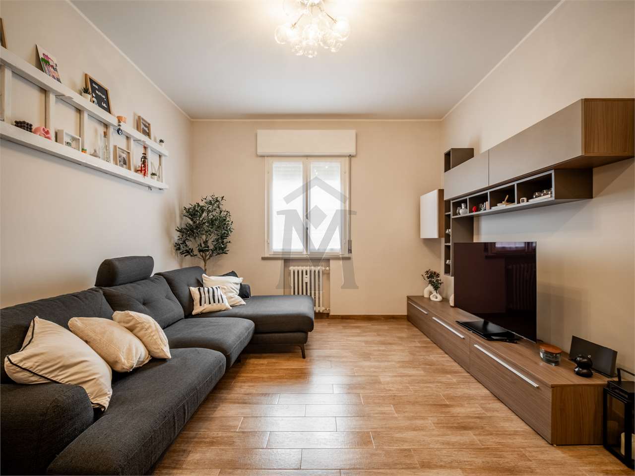 imm_49338-20260514110653-1280