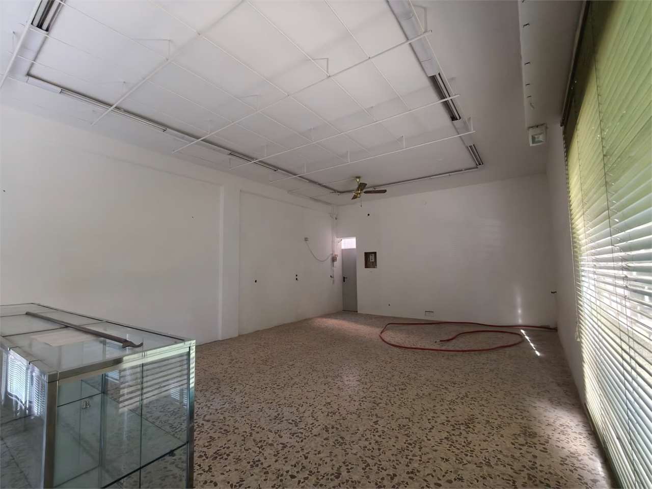 imm_49792-20260605184721-1280