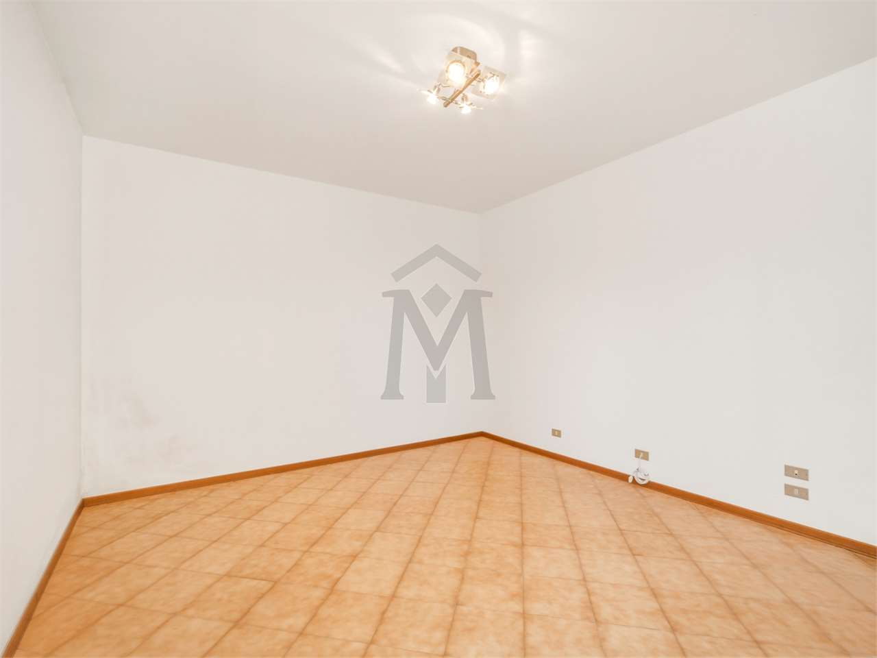 imm_49909-20260626155017-1280