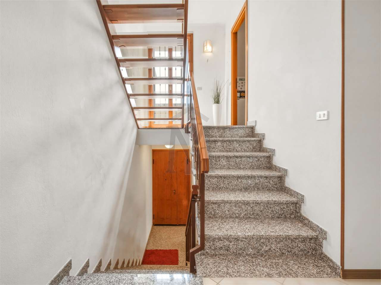 imm_49917-20260626155051-1280