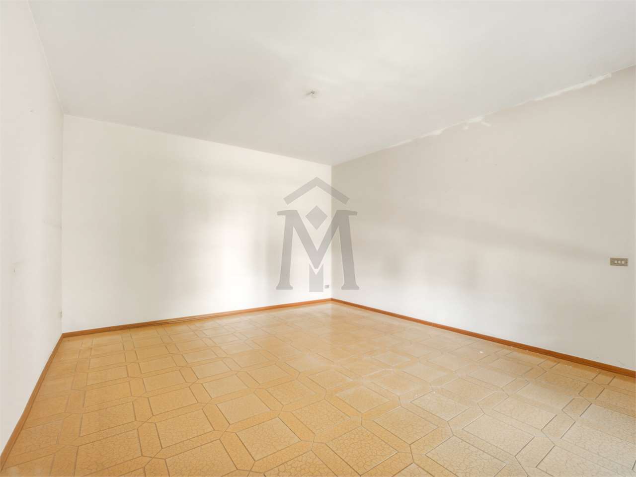 imm_50054-20260630185741-1280