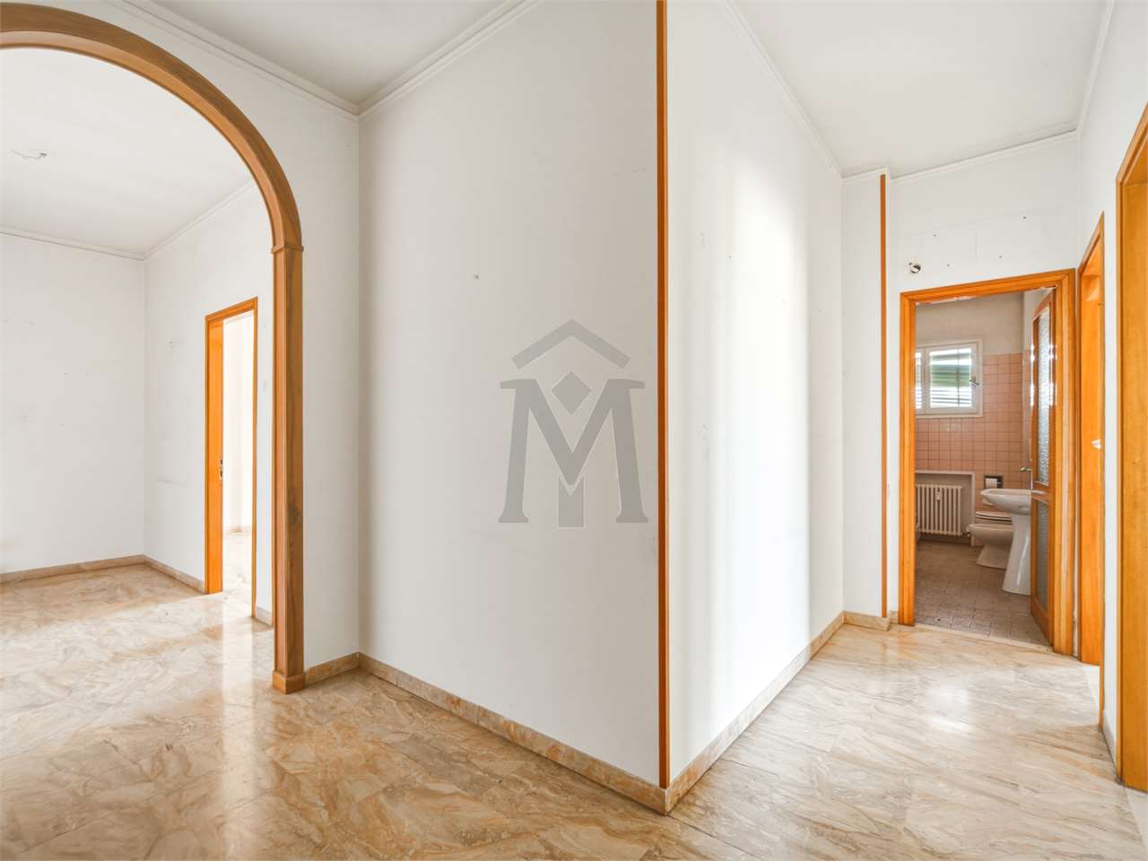 imm_50555-20260727183835-1280