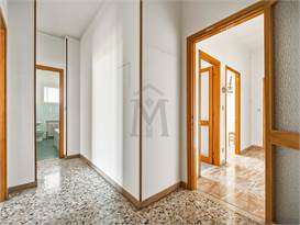 imm_50658-20260728164100-273