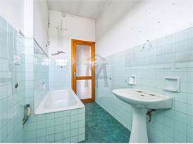 imm_50706-20260728165259-274