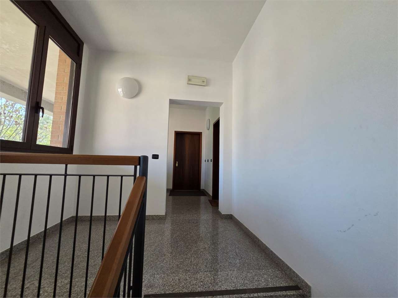 imm_51163-20260806122108-1280