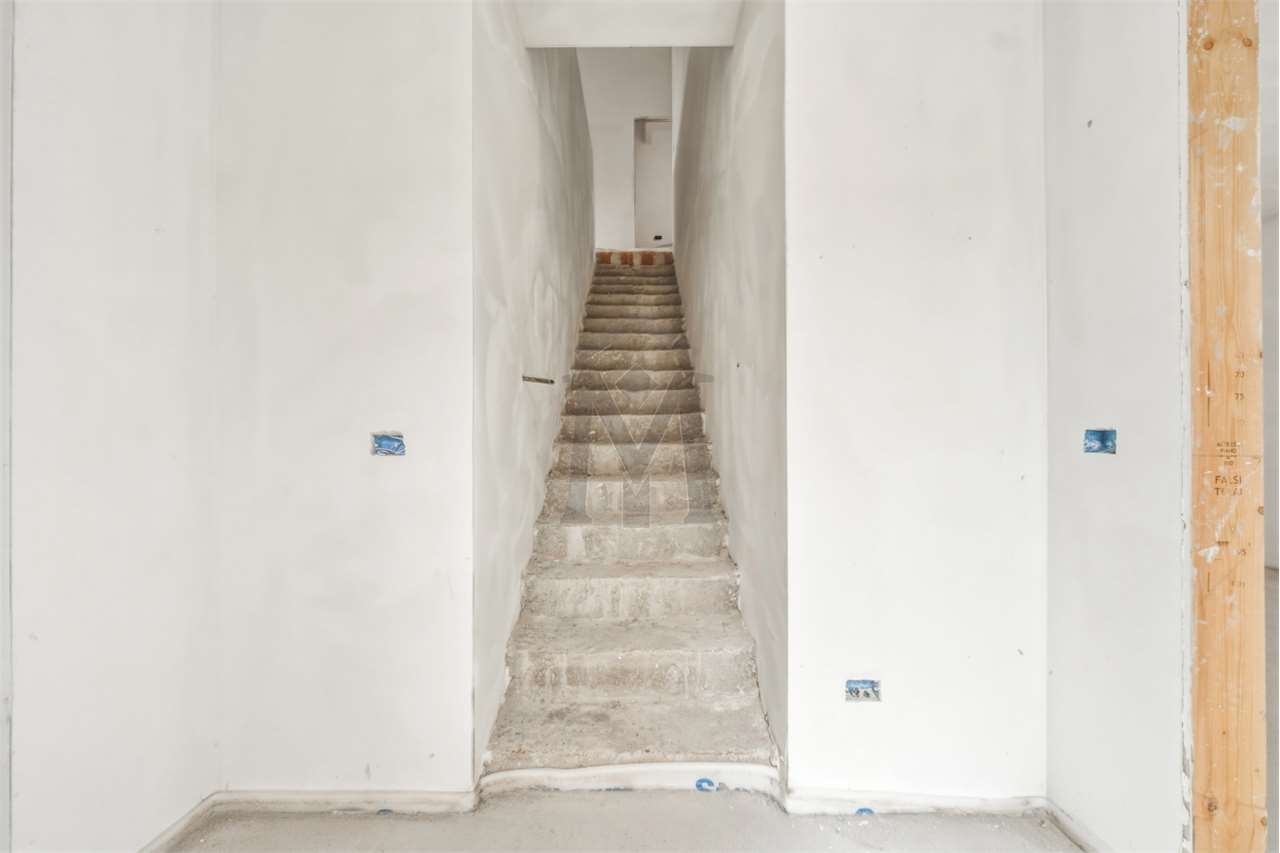 imm_51786-20260907182529-1280