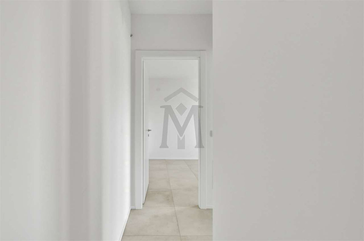 imm_51914-20261001151630-1280