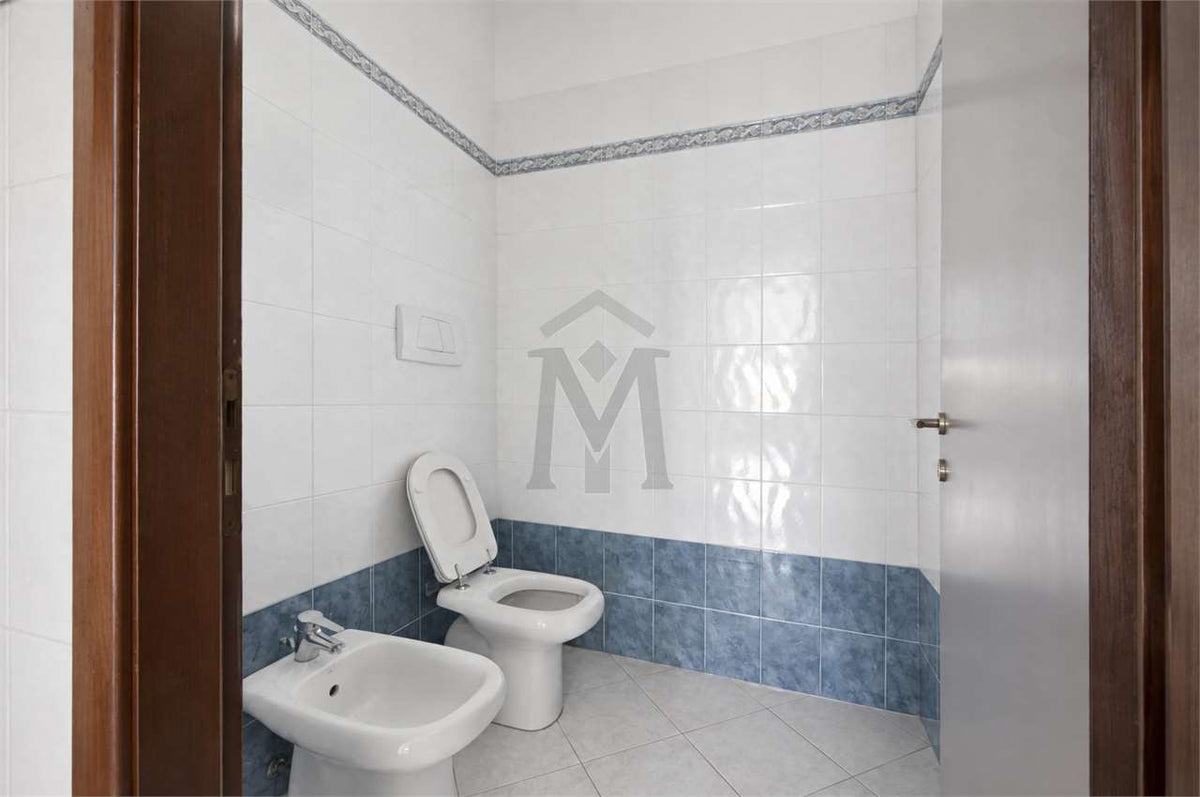 imm_52286-20261008114148-1280