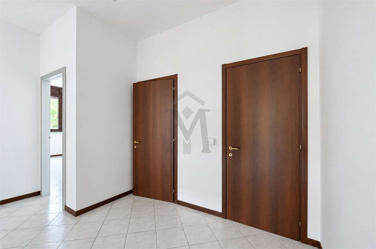 imm_52290-20261008114737-1280