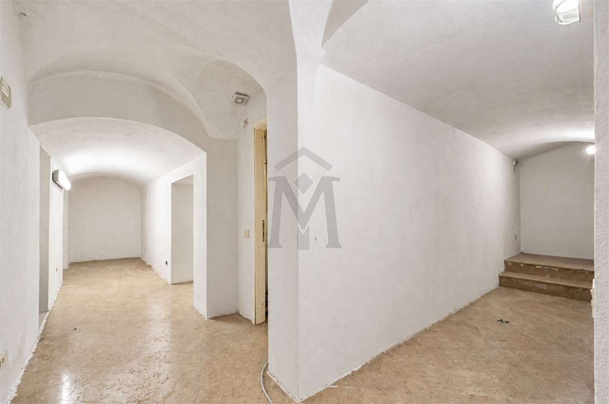 imm_52875-20261013115651-1280